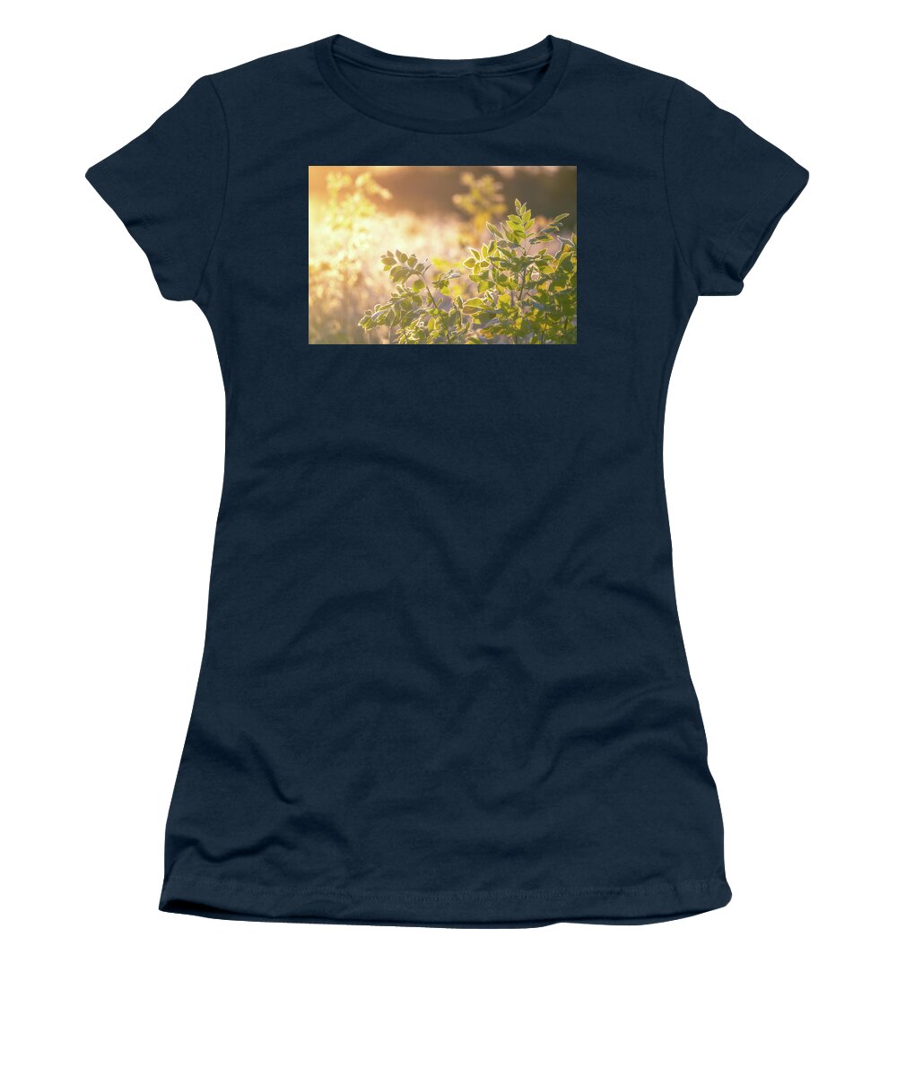 Iowa Women's T-Shirt featuring the photograph Sunlit Leaves by Darren White