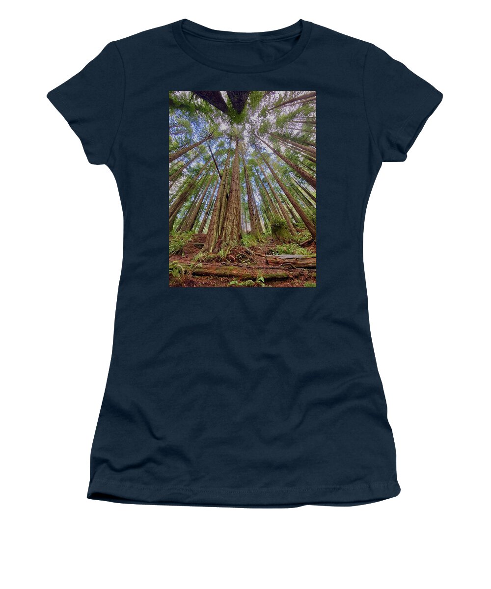Redwoods Women's T-Shirt featuring the photograph Surrounded by Daniele Smith