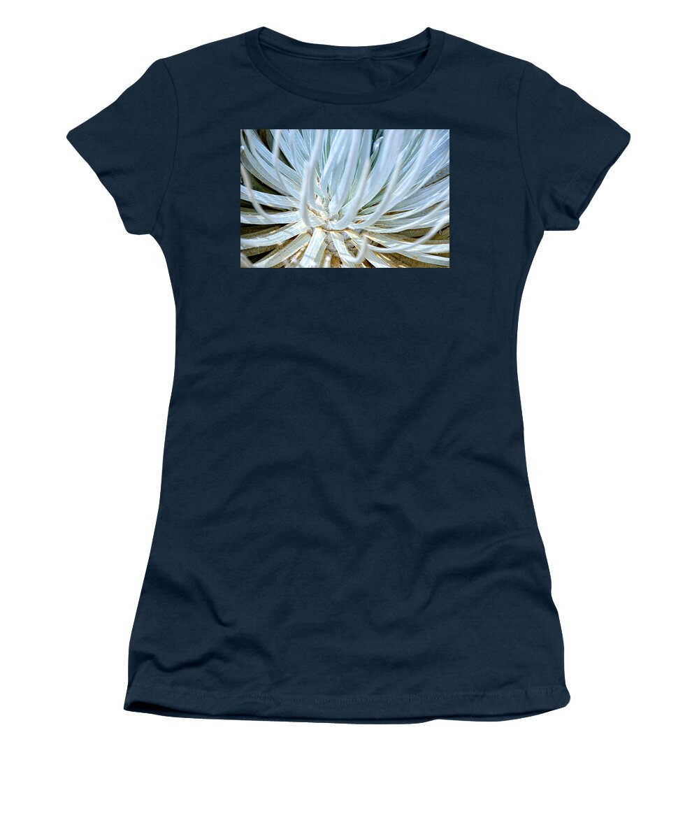 David Lawson Photography Women's T-Shirt featuring the photograph Swords of Silver by David Lawson
