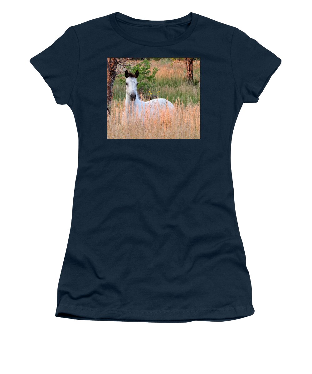Horse Women's T-Shirt featuring the photograph Tall Summer Grass by Katie Keenan