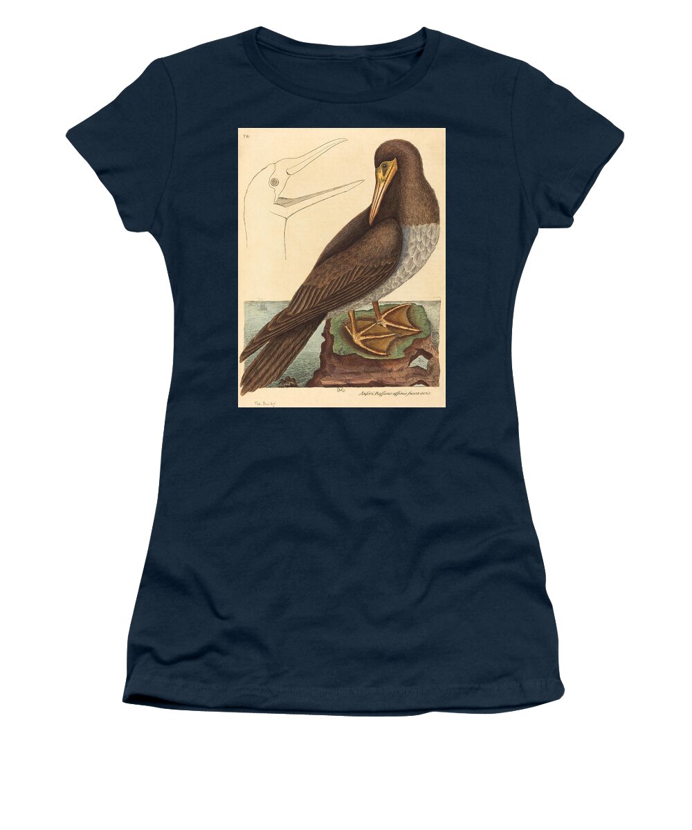 Mark Catesby Women's T-Shirt featuring the drawing The Booby, Pelecanus Sula by Mark Catesby