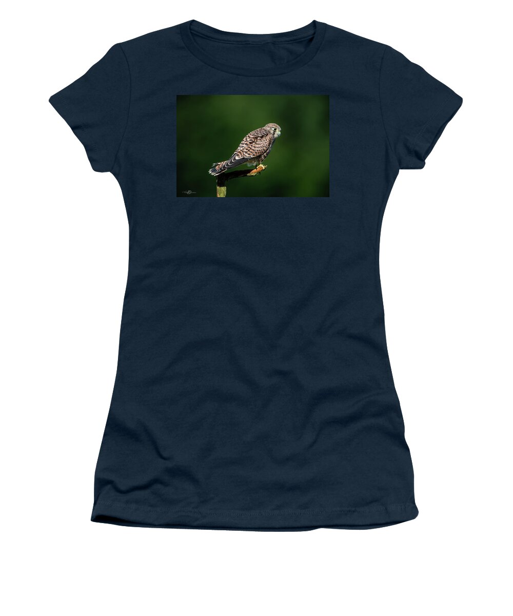 Kestrel Women's T-Shirt featuring the photograph The hunting position in profile for the young kestrel by Torbjorn Swenelius