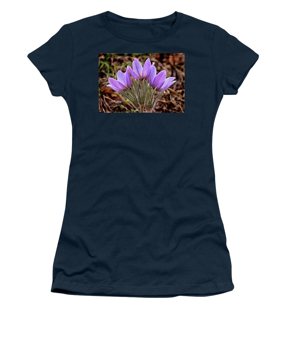 Pasque Flowers Women's T-Shirt featuring the photograph Three Pasques by Bob Falcone