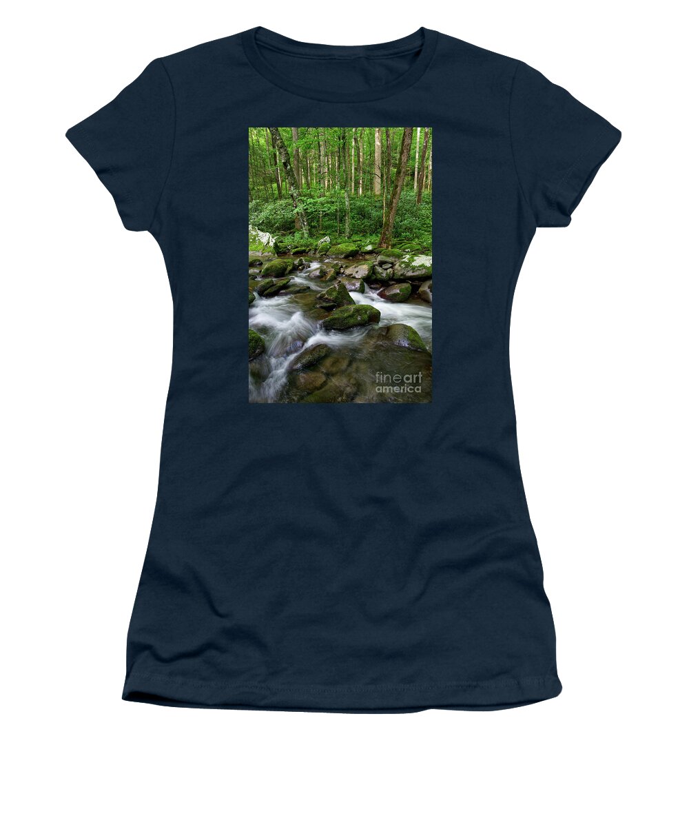 Smoky Mountains Women's T-Shirt featuring the photograph Thunderhead Prong 6 by Phil Perkins