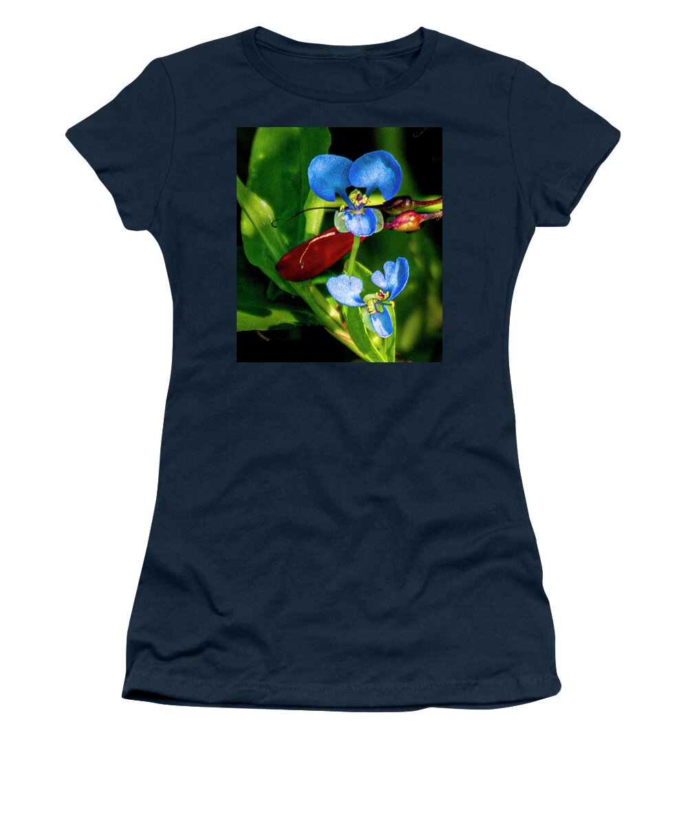 Flower Women's T-Shirt featuring the photograph Tiny Blue Flower by Don Durfee
