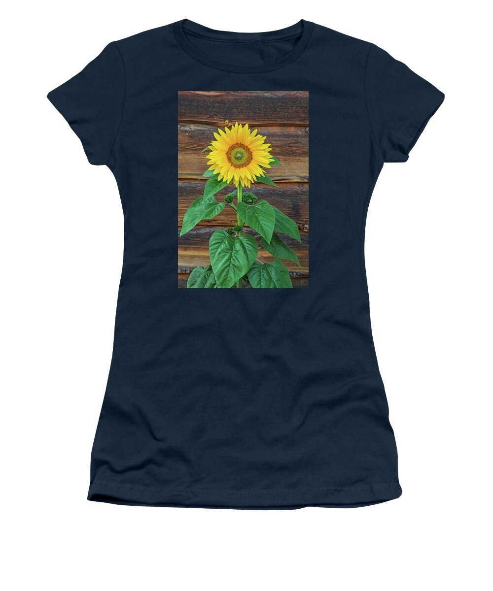 Sunflower Women's T-Shirt featuring the photograph To Love And Be Loved Is To Feel The Sun From Both Sides. A Sunflower Growing By A Ramshackle Barn by Bijan Pirnia