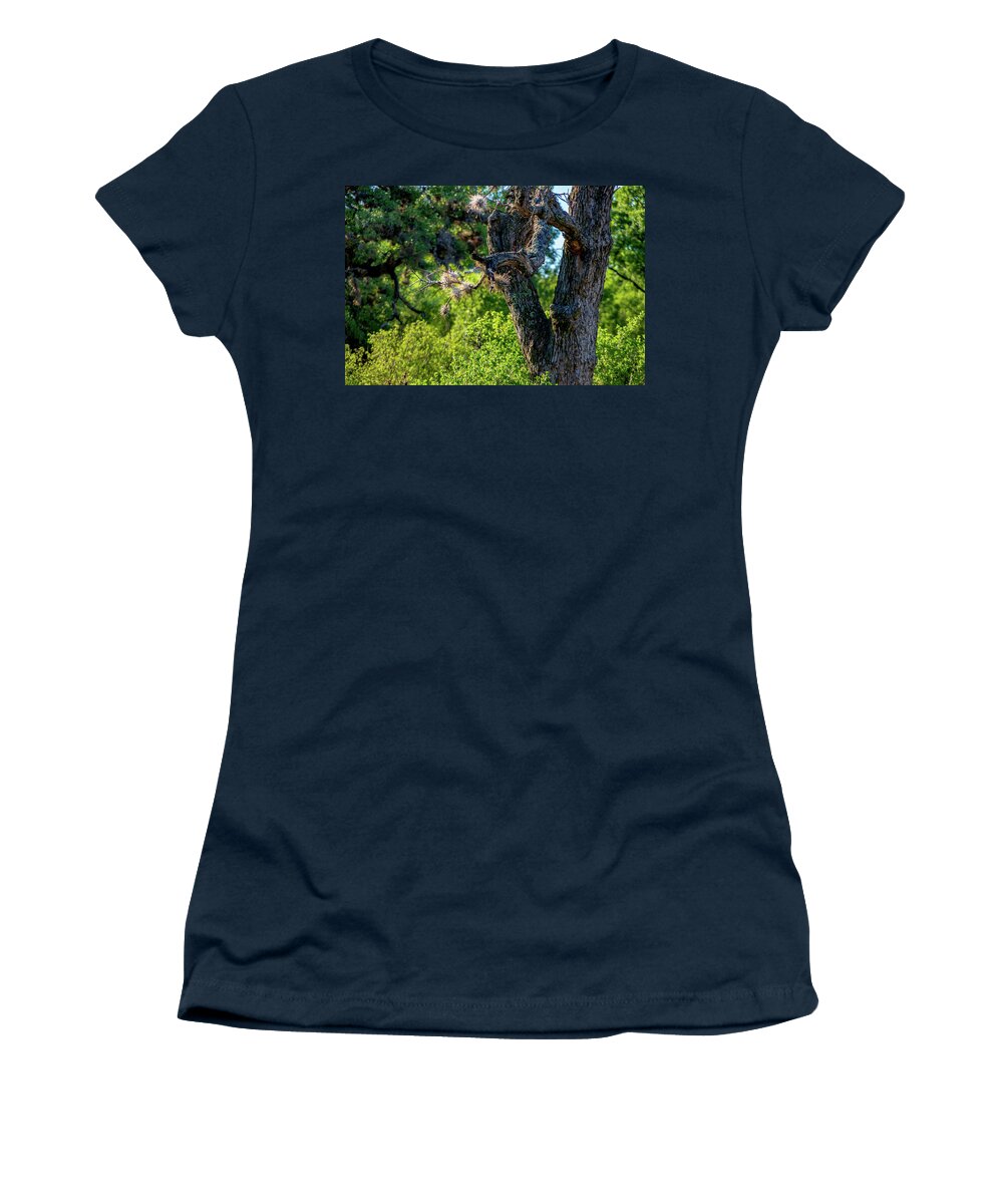 Tree Women's T-Shirt featuring the photograph Tree in the Texas Sun by Nathan Wasylewski