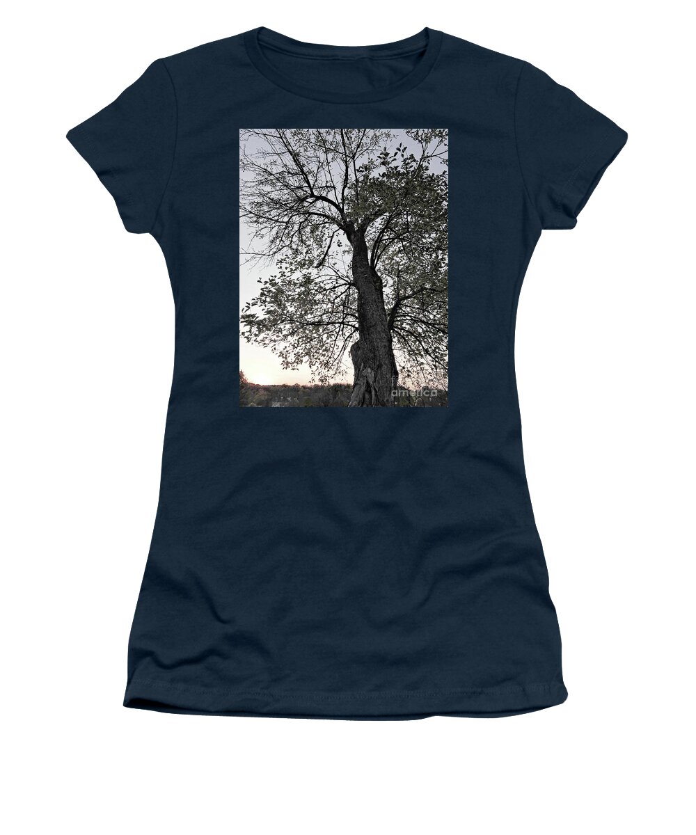 Black And White Women's T-Shirt featuring the photograph Tree of Many Branches #2 by Marcia Lee Jones