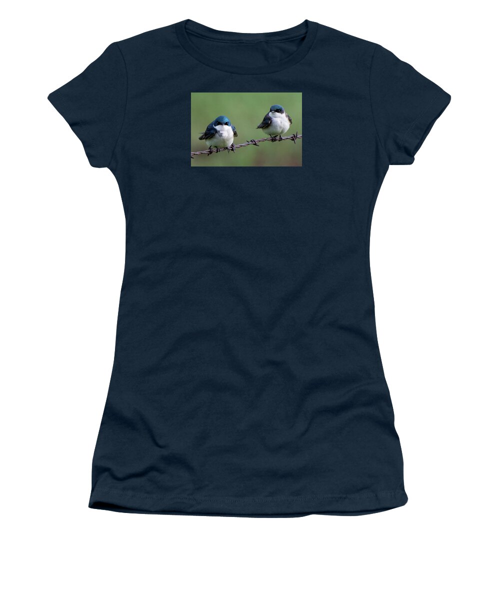Tree Swallow Women's T-Shirt featuring the photograph Tree Swallow Pair by Cascade Colors