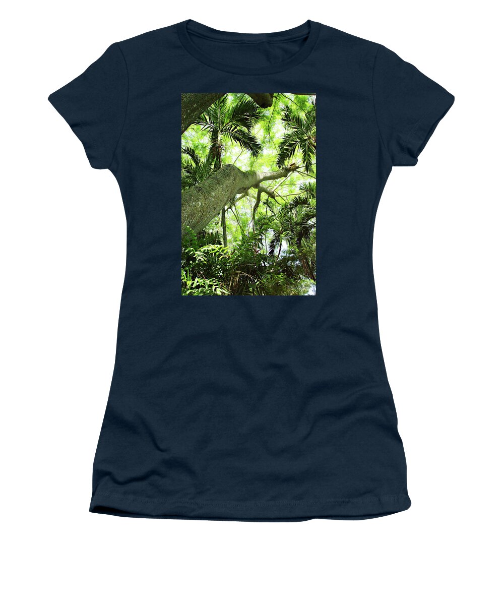 Color Women's T-Shirt featuring the photograph Tropical Forest by Alan Hausenflock