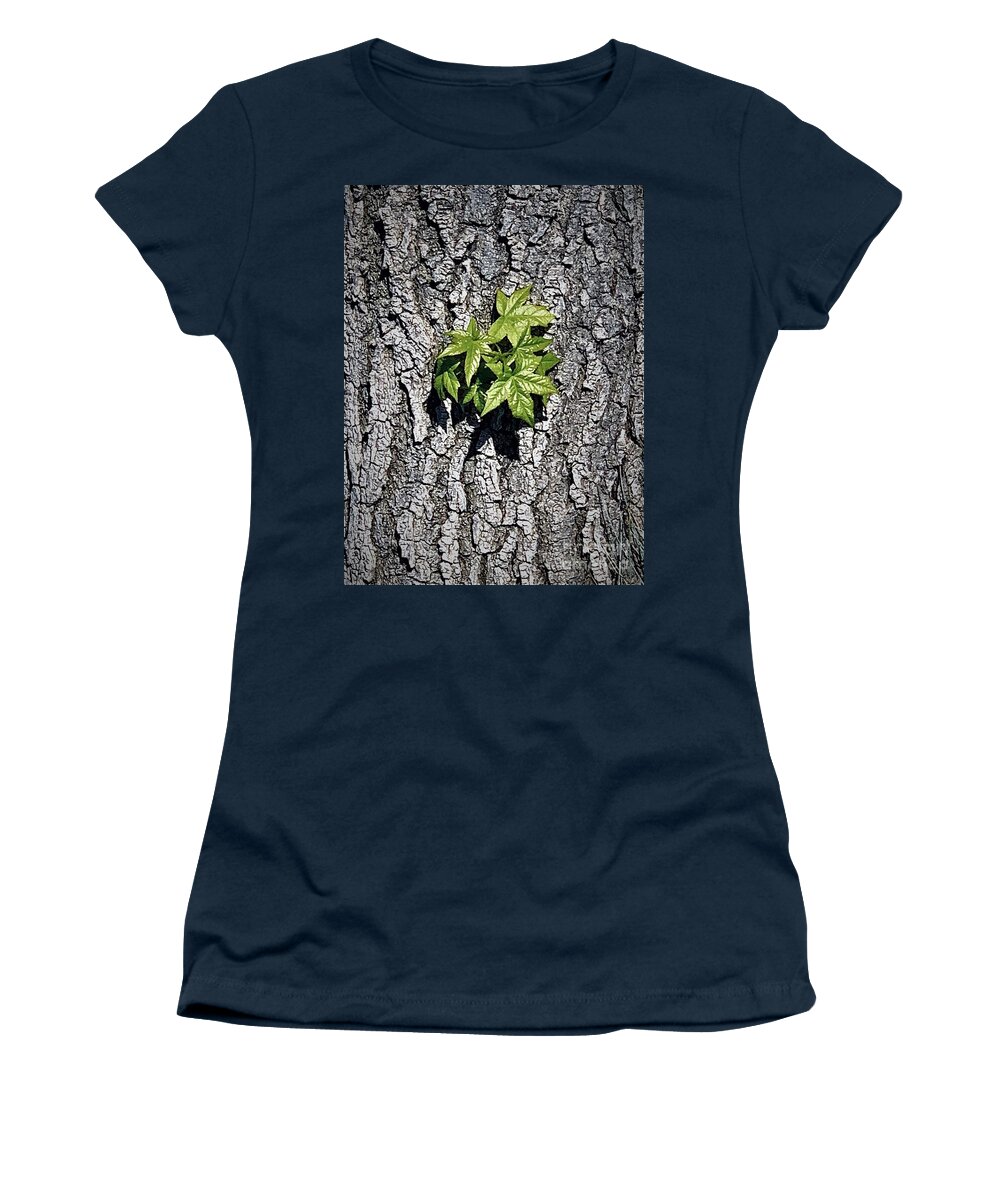 Star Women's T-Shirt featuring the photograph Tuesdays With Saint Anthony - The Star-leaved Sweetgum by Tiesa Wesen