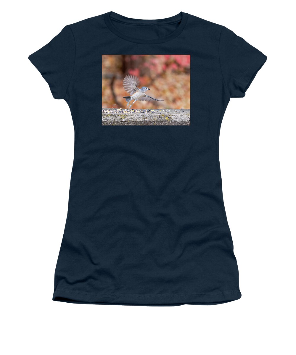  Little Gray Bird Women's T-Shirt featuring the photograph Tufted Titmouse in Flight by Ilene Hoffman