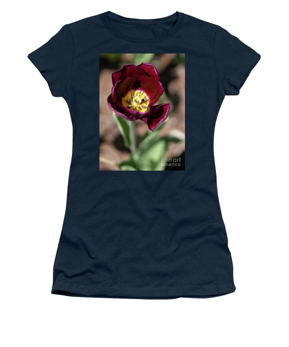 Insect Women's T-Shirt featuring the photograph Tulip Guts by Cathy Donohoue