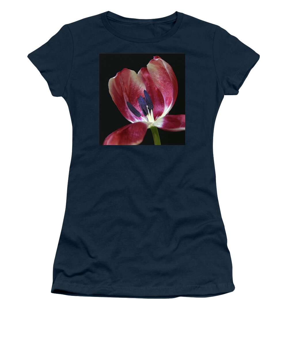 Macro Women's T-Shirt featuring the photograph Tulip Red 042207 by Julie Powell