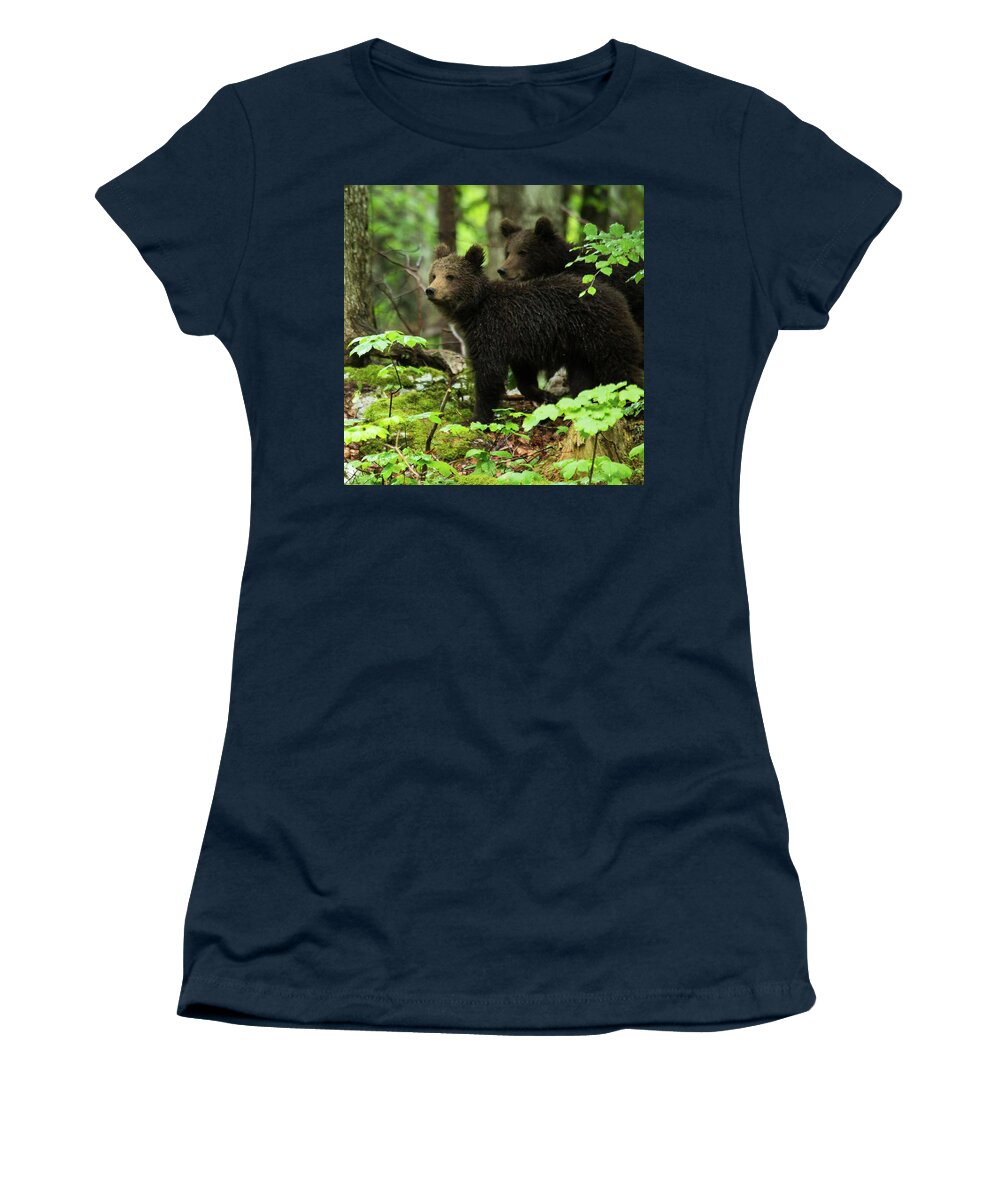 Brown Women's T-Shirt featuring the photograph Two one year old Brown Bear in Slovenia by Ian Middleton