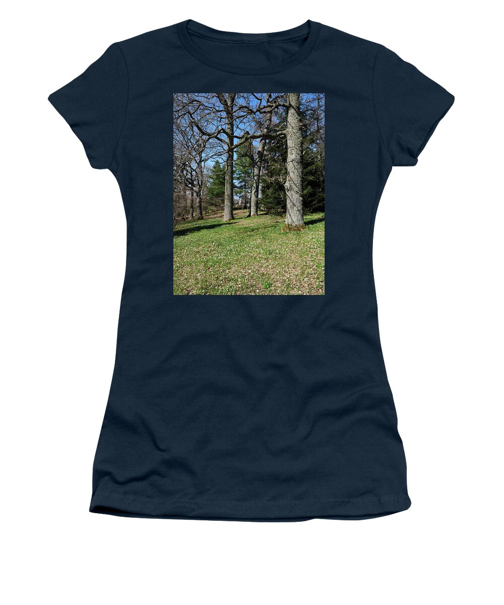 Finland Women's T-Shirt featuring the photograph Under the naked oaks vertical by Jouko Lehto