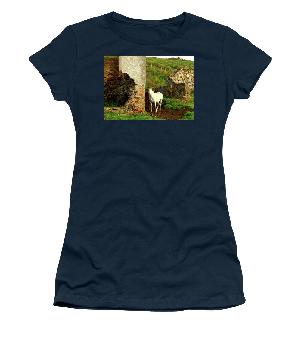 White Women's T-Shirt featuring the photograph Unicorn - Scotland by Gene Taylor