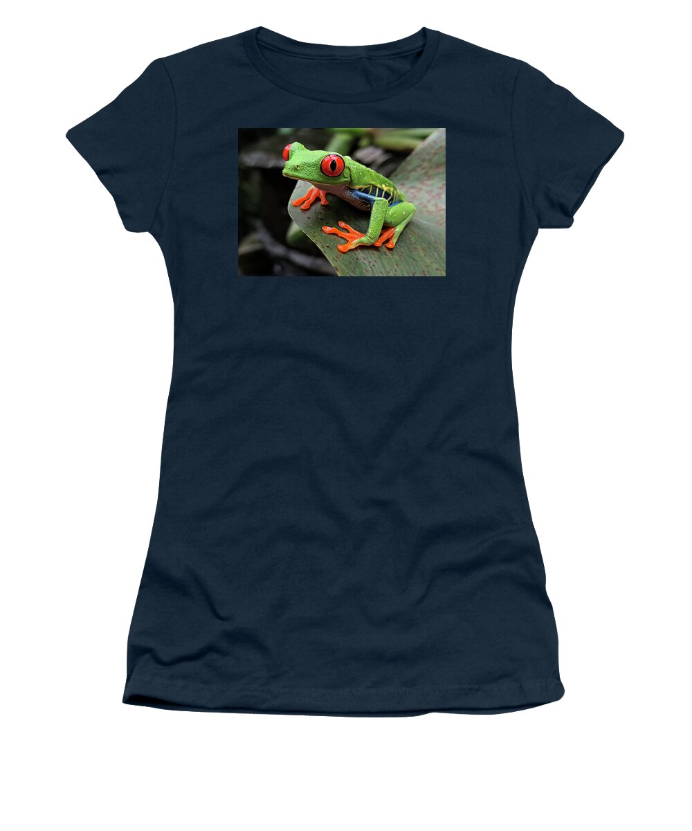 Frog Women's T-Shirt featuring the photograph Up Close and Personal - Red-Eyed Tree Frog by Teresa Wilson