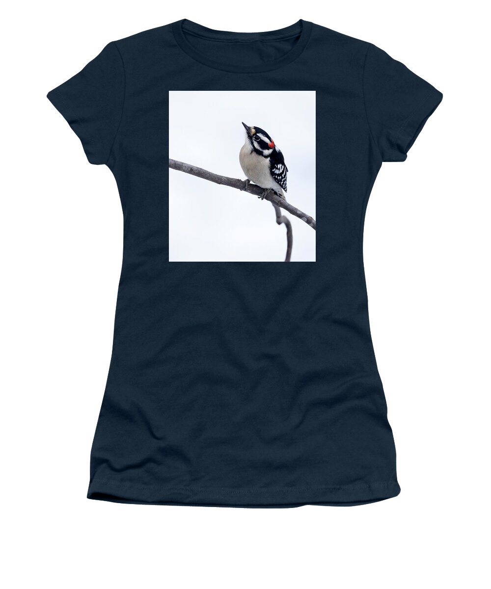 Bird Women's T-Shirt featuring the photograph Upward Glance by Art Cole