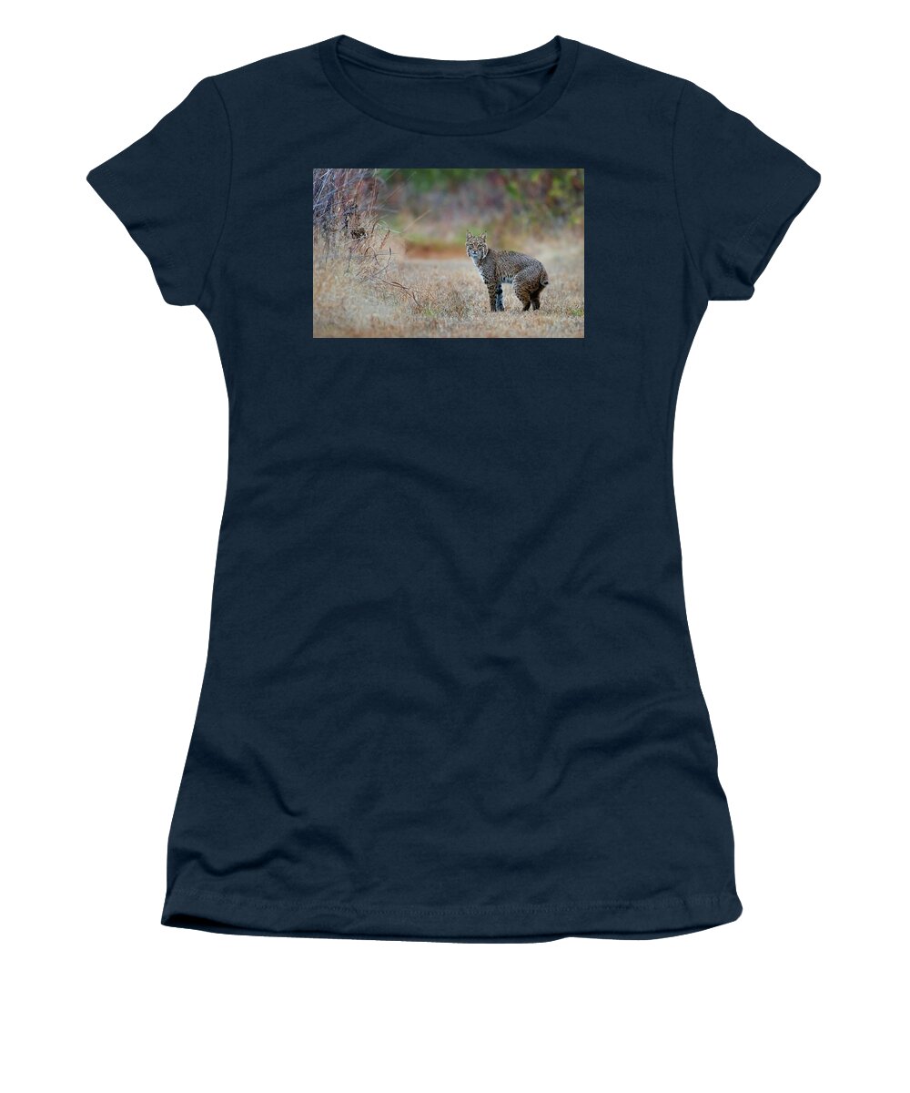Bobcat Women's T-Shirt featuring the photograph Waiting Bobcat by Rhonda McClure