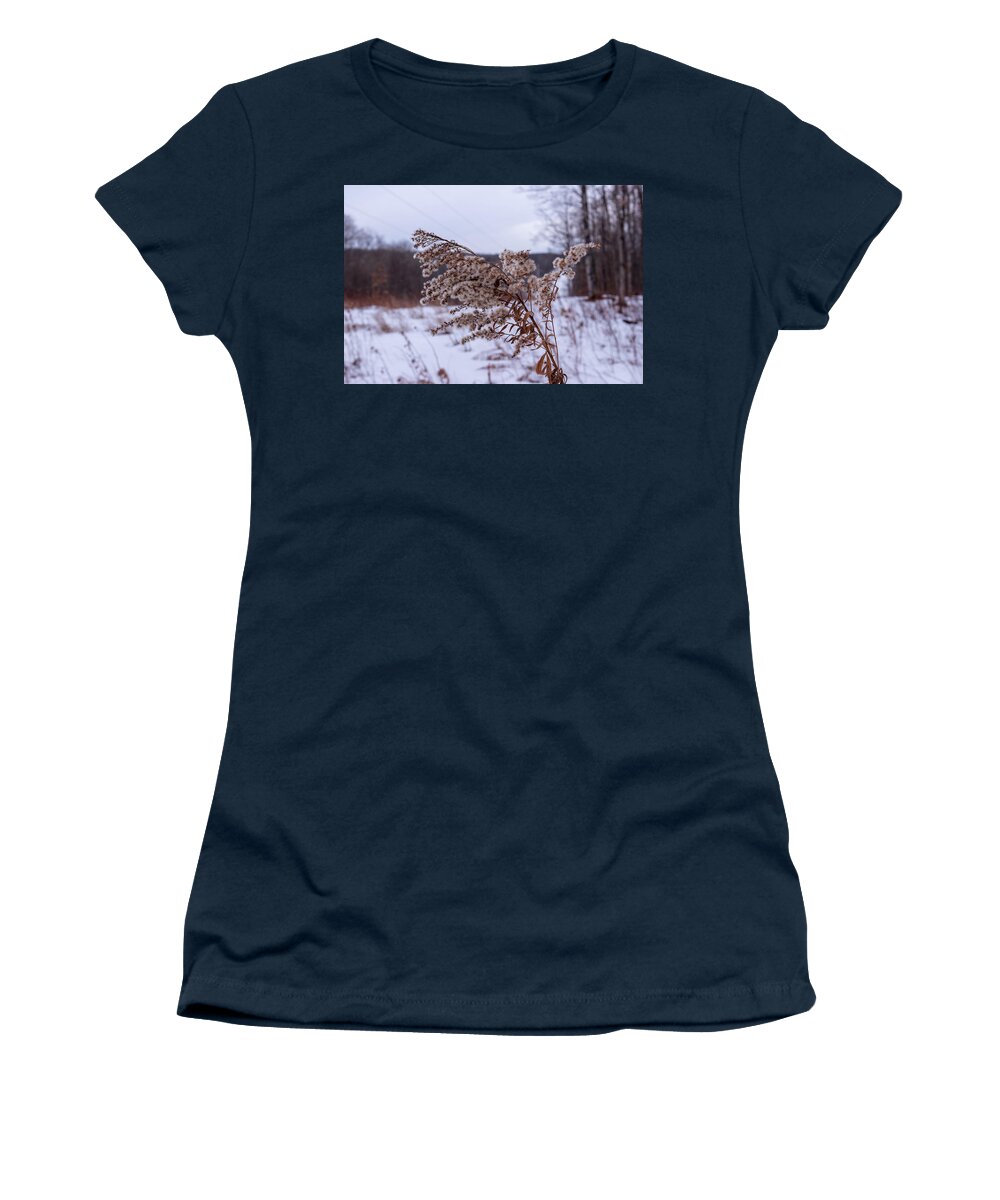 No People Women's T-Shirt featuring the photograph Weed in the Cold winter by Nathan Wasylewski