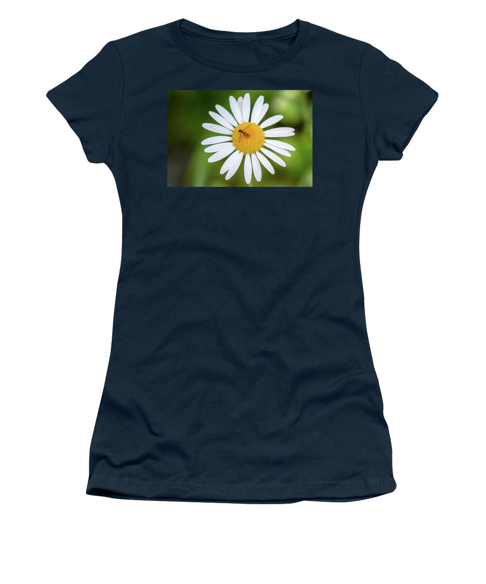 Great Smoky Mountains National Park Women's T-Shirt featuring the photograph Western Calligrapher on an Oxeye Daisy by Robert J Wagner