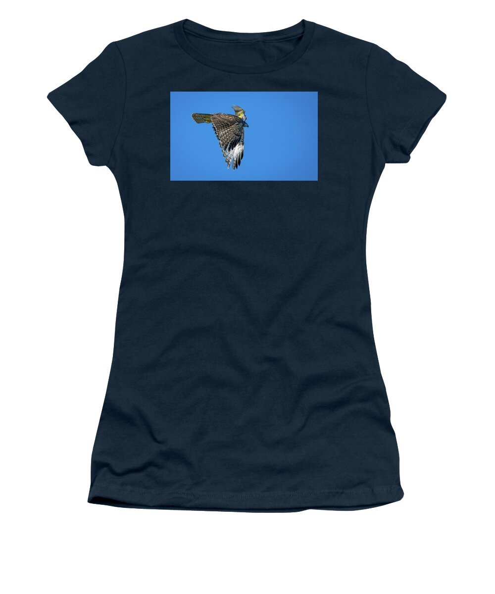 Red Tailed Hawk Women's T-Shirt featuring the photograph Western Kingbird vs Red Tailed Hawk 4 by Rick Mosher