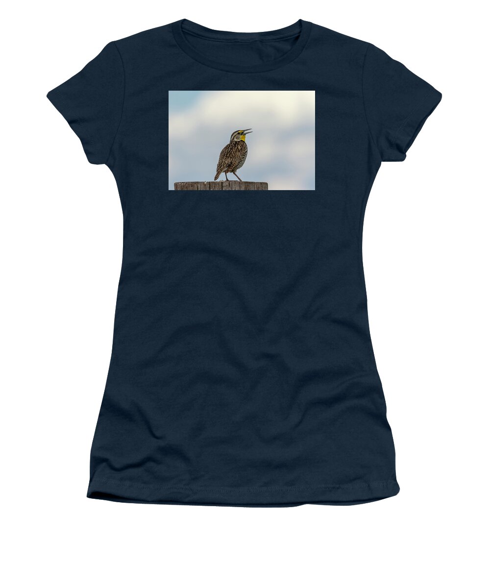 Western Meadowlark Women's T-Shirt featuring the photograph Western Meadowlark 2014 by Thomas Young