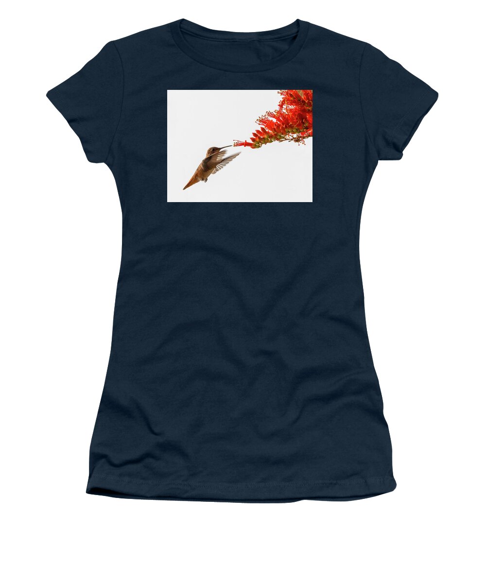 Hummingbird Women's T-Shirt featuring the photograph What's For Breakfast? by Joe Schofield