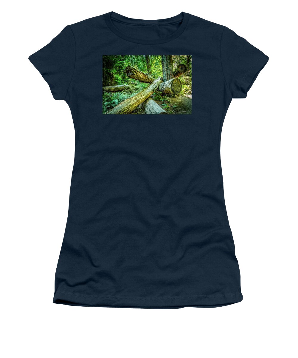 Old Growth Forest Women's T-Shirt featuring the photograph When the Wind Blows Cathedral Grove by Roxy Hurtubise