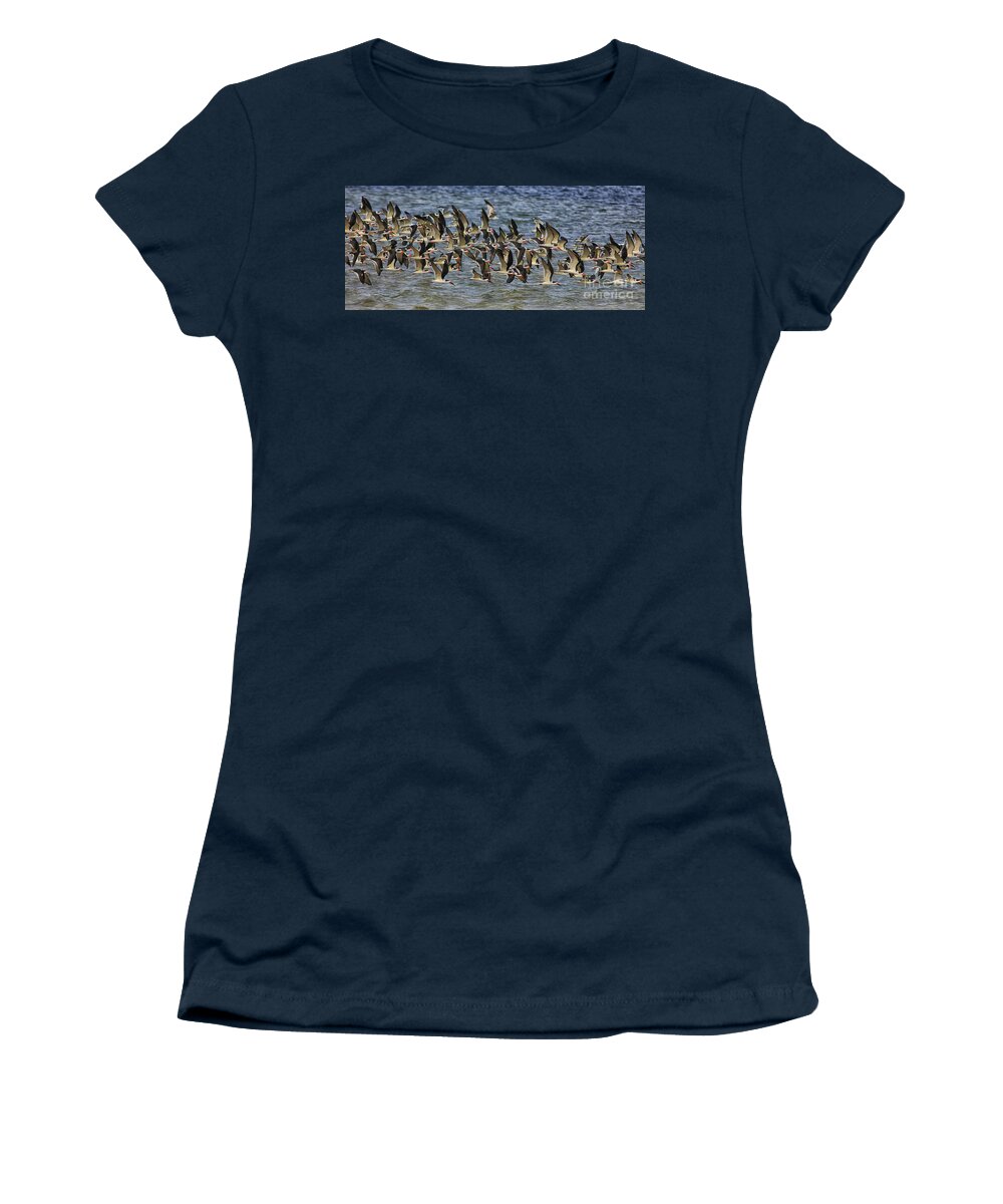 Where Are We Going? Black Skimmers Women's T-Shirt featuring the photograph Where Are We Going? Black Skimmers by Felix Lai