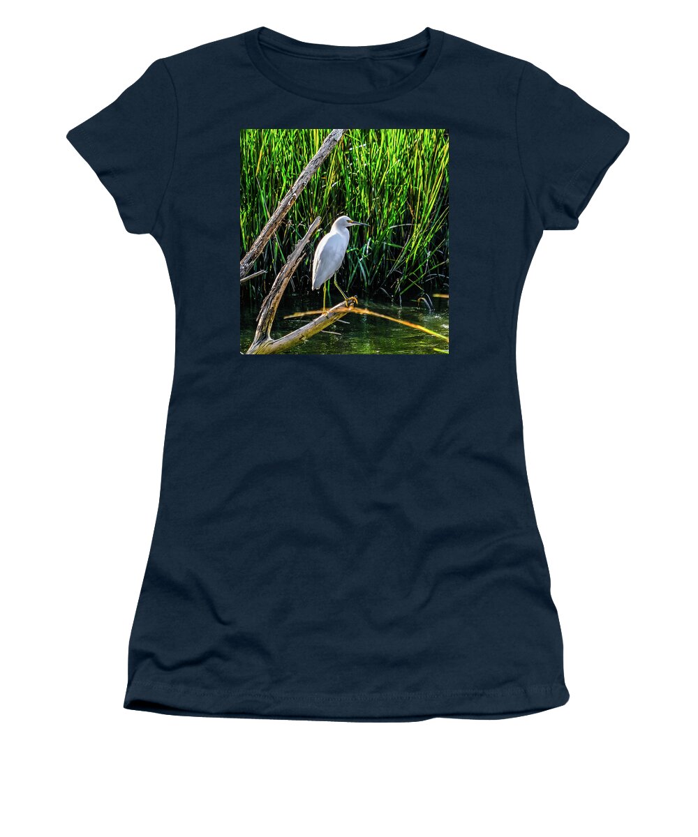 Saint Simons Island Women's T-Shirt featuring the photograph White Egret in Wetland Marsh by Darryl Brooks