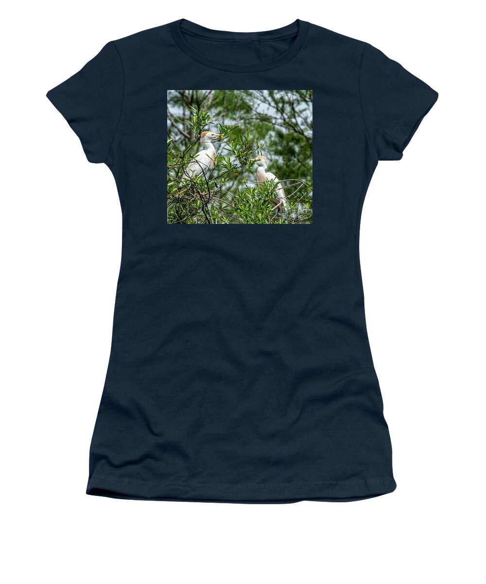 Cattle Egrets At Rookery Women's T-Shirt featuring the photograph Cattle Egrets by Daniel Hebard