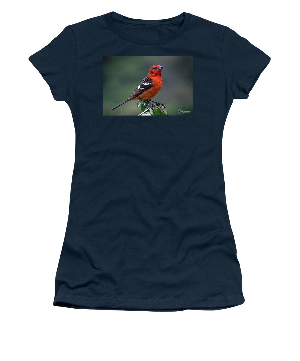 Gary Johnson Women's T-Shirt featuring the photograph White-Winged Tanager by Gary Johnson