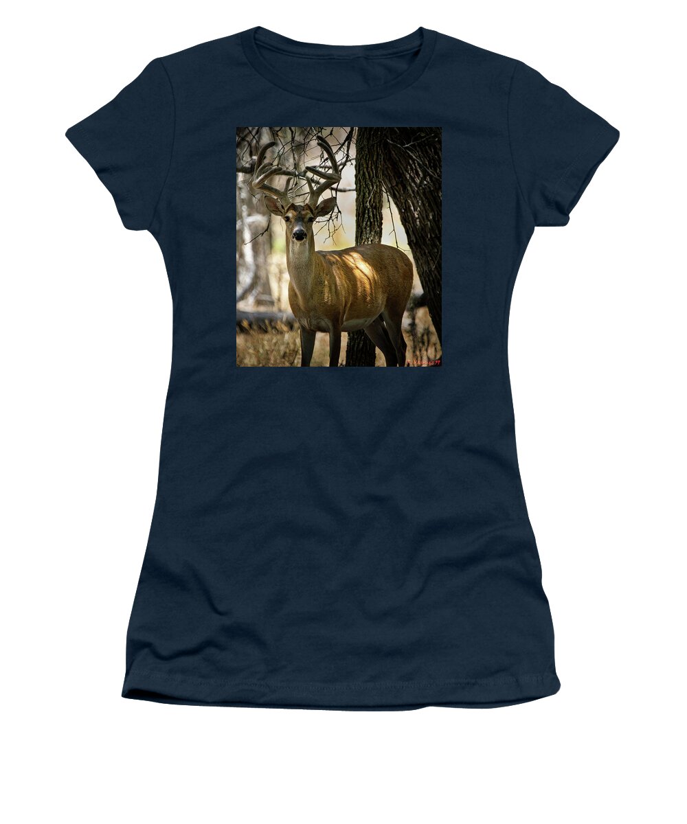 Whitetail Women's T-Shirt featuring the photograph Whitetail Buck Stare by Rene Vasquez