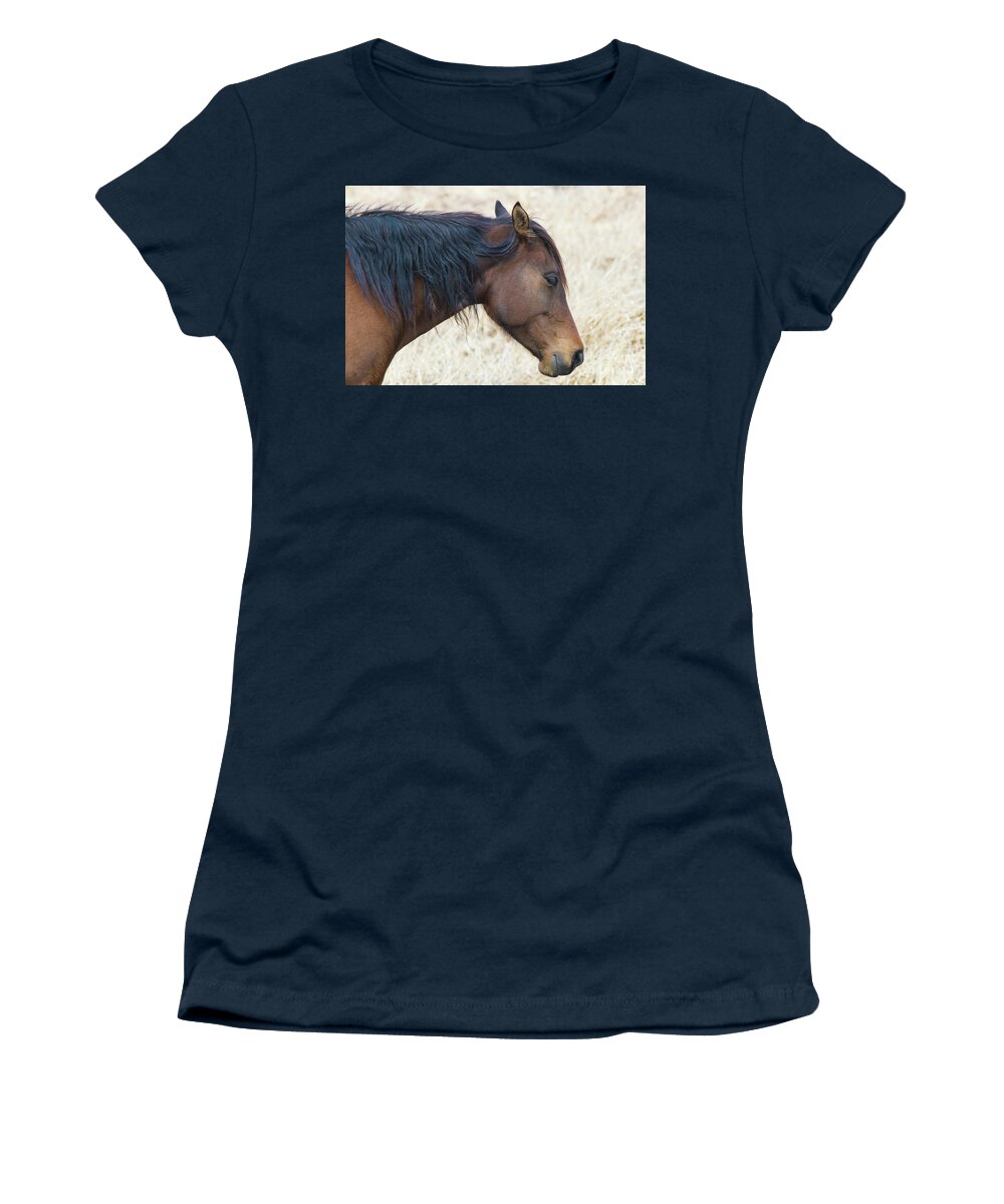 Wild Horse Of Paynes Prairie Preserve State Park Women's T-Shirt featuring the photograph Wild Horse of Paynes Prairie Preserve State Park, Florida 2 by Felix Lai