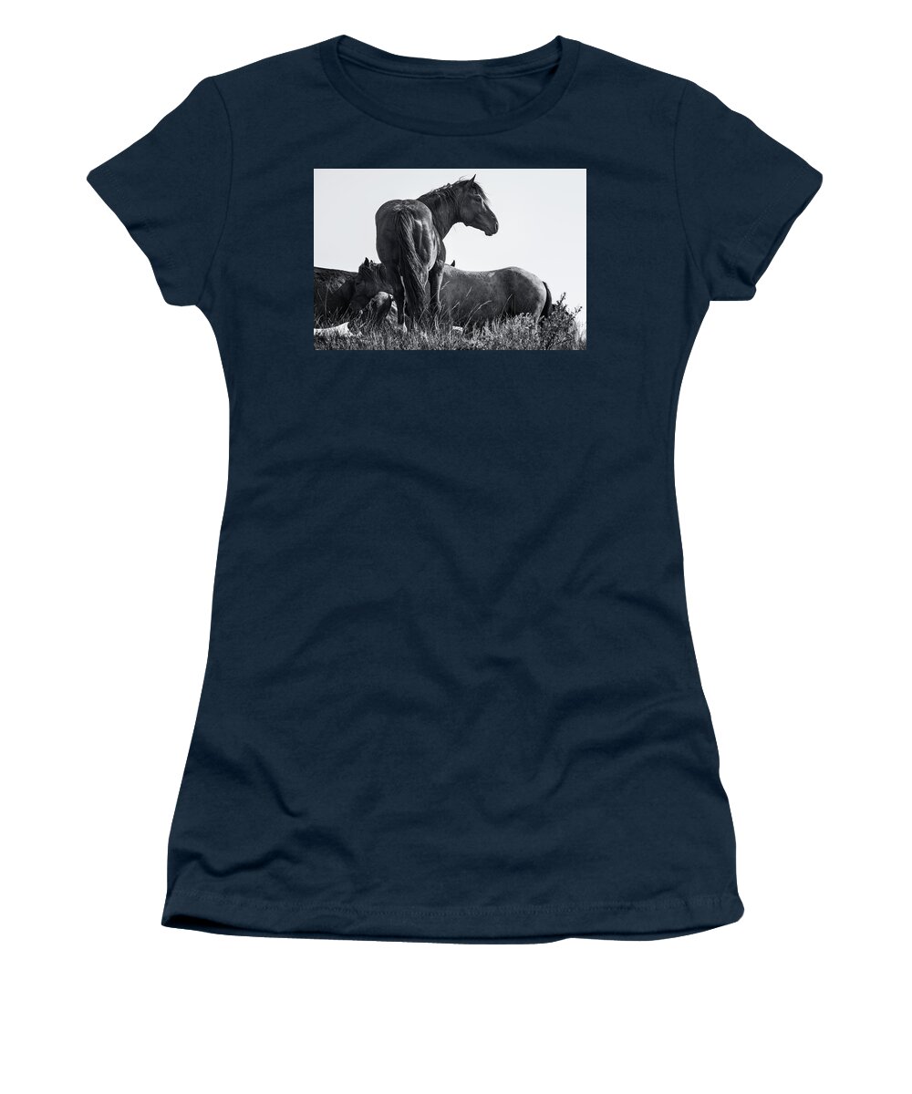 Wild Horses Women's T-Shirt featuring the photograph Wild Stallion by Andy Crawford