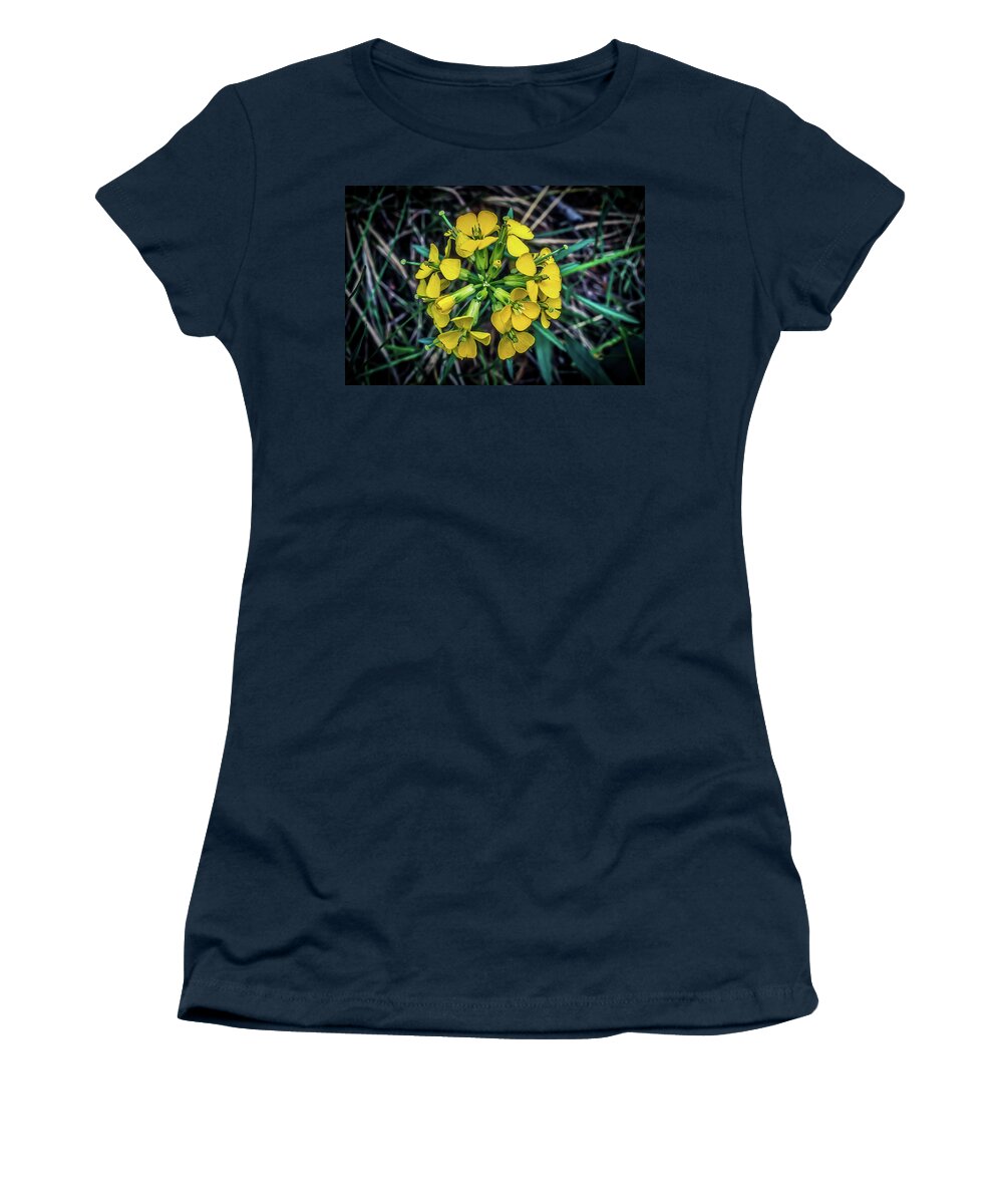 Flower Women's T-Shirt featuring the photograph Willow Grass of Montana by James C Richardson