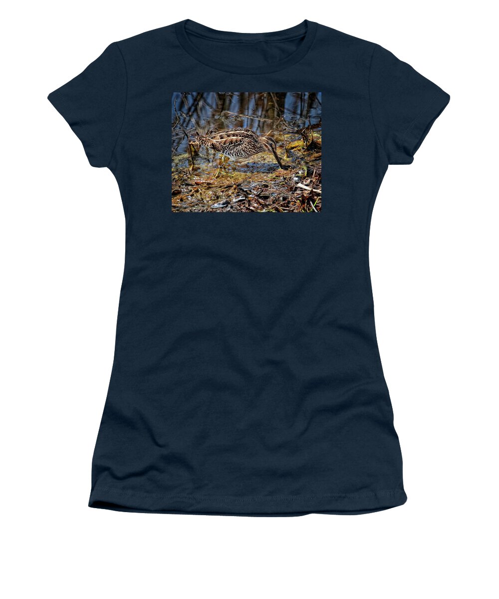 Wildlife Women's T-Shirt featuring the photograph Wilson's Snipe in Savannah National Wildlife Refuge by Ronald Lutz