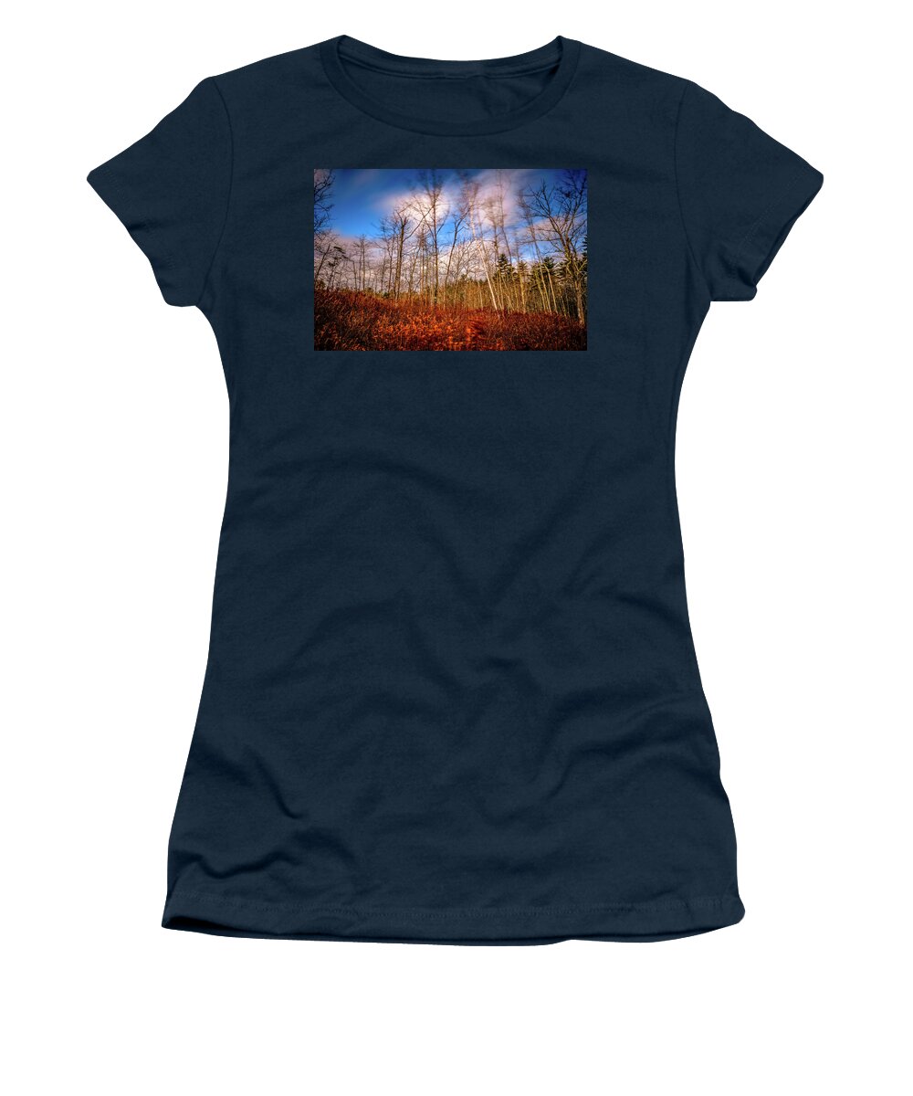 New Hampshire Women's T-Shirt featuring the photograph Wind Blown Vignette by Jeff Sinon