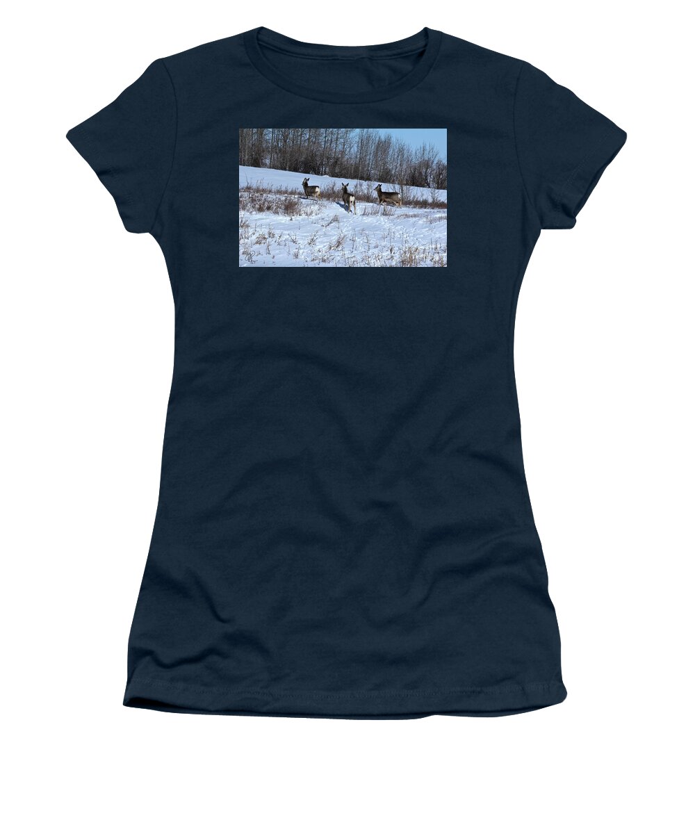 Mule Deer Women's T-Shirt featuring the photograph Winter Mule Deer by Ann E Robson