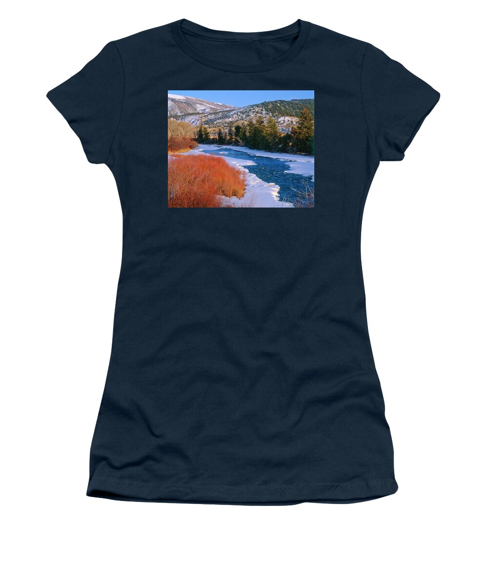 Creek Women's T-Shirt featuring the photograph Winter Willows- Colorado by Mark Miller