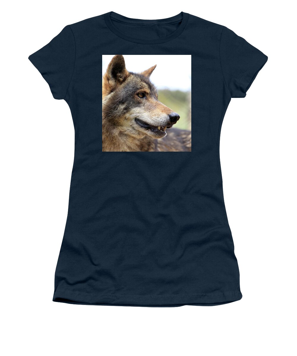 Wolf Women's T-Shirt featuring the photograph Wolf, portrait by Tony Mills