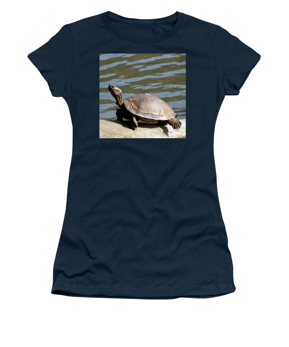 Wood Turtle Women's T-Shirt featuring the photograph Wood Turtle by Joshua Bales