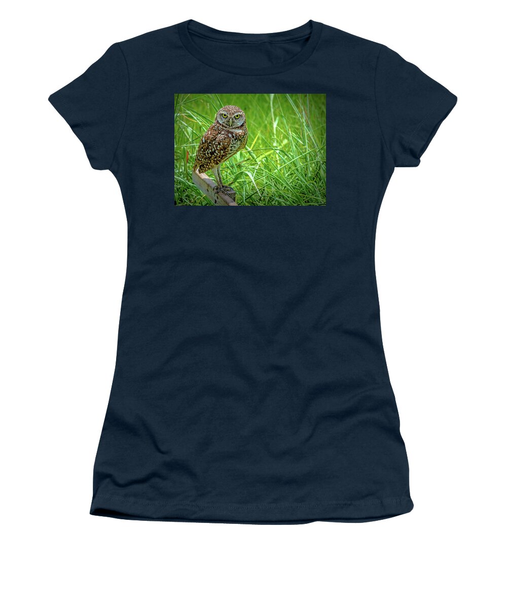 Burrowing Owl Women's T-Shirt featuring the photograph You Lookin' At Me? by Debra Kewley