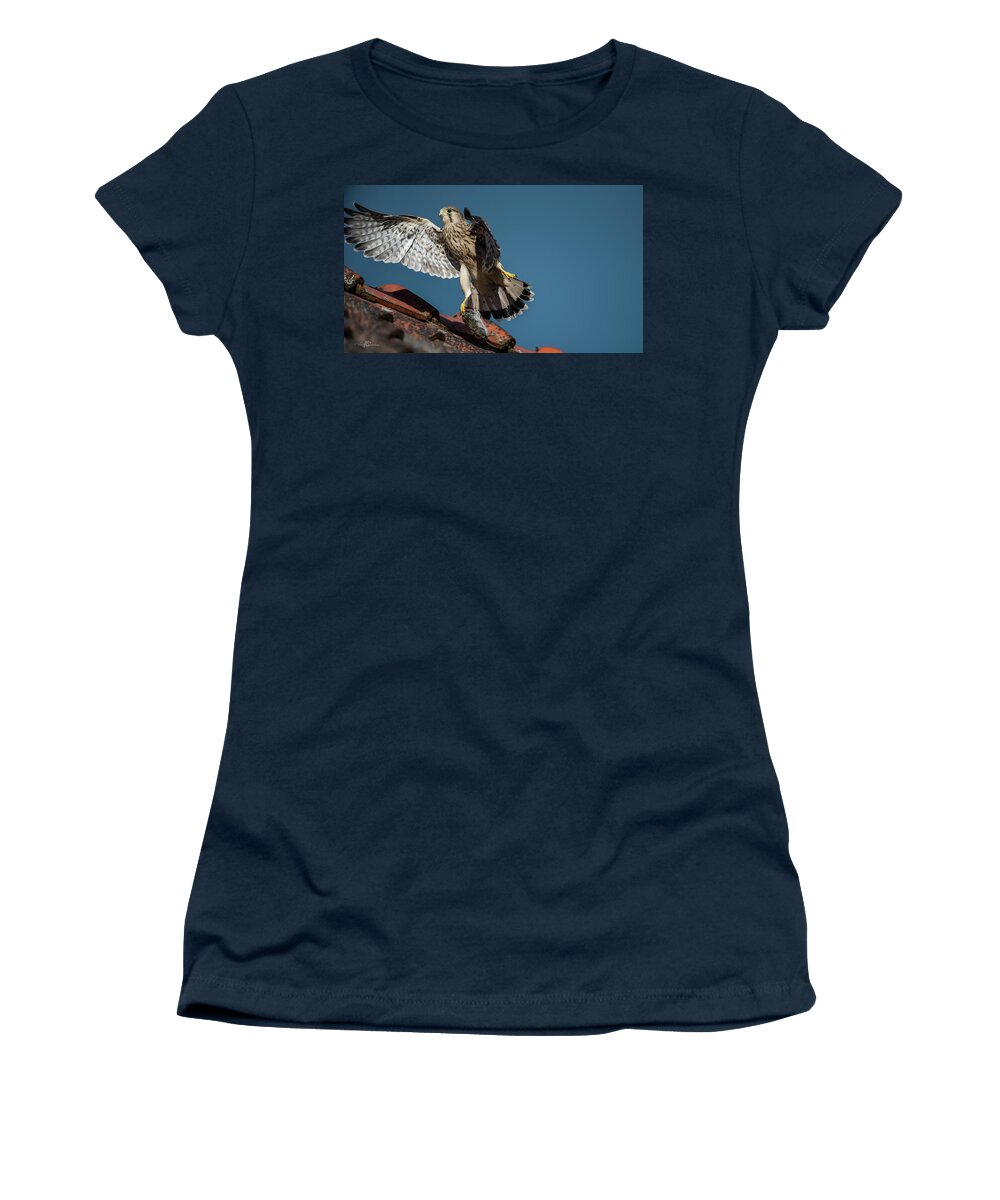 Young Kestrel Women's T-Shirt featuring the photograph Young flying Kestrel with the prey in the claw by Torbjorn Swenelius