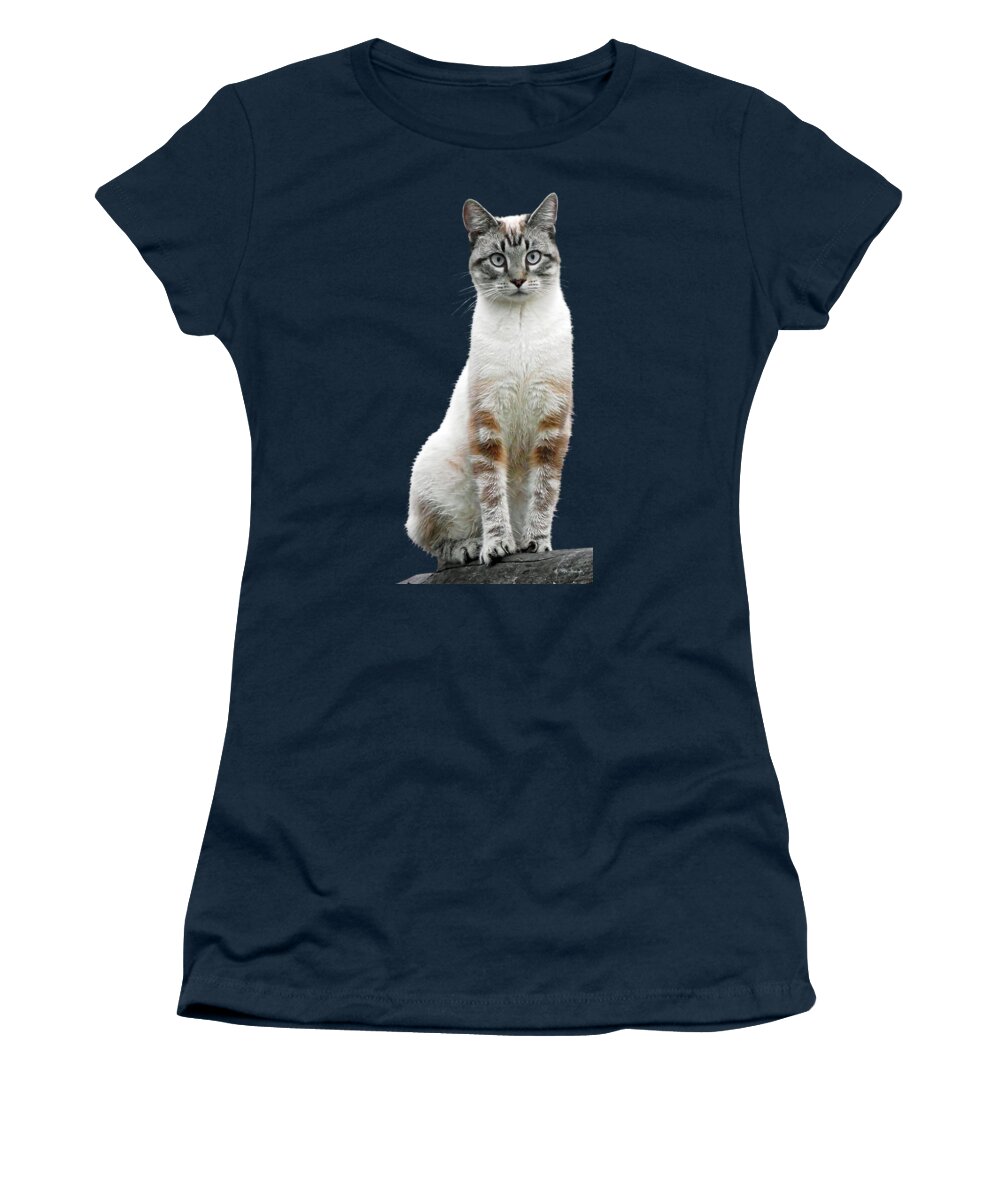 Duane Mccullough Women's T-Shirt featuring the photograph Zing the Cat Clear by Duane McCullough