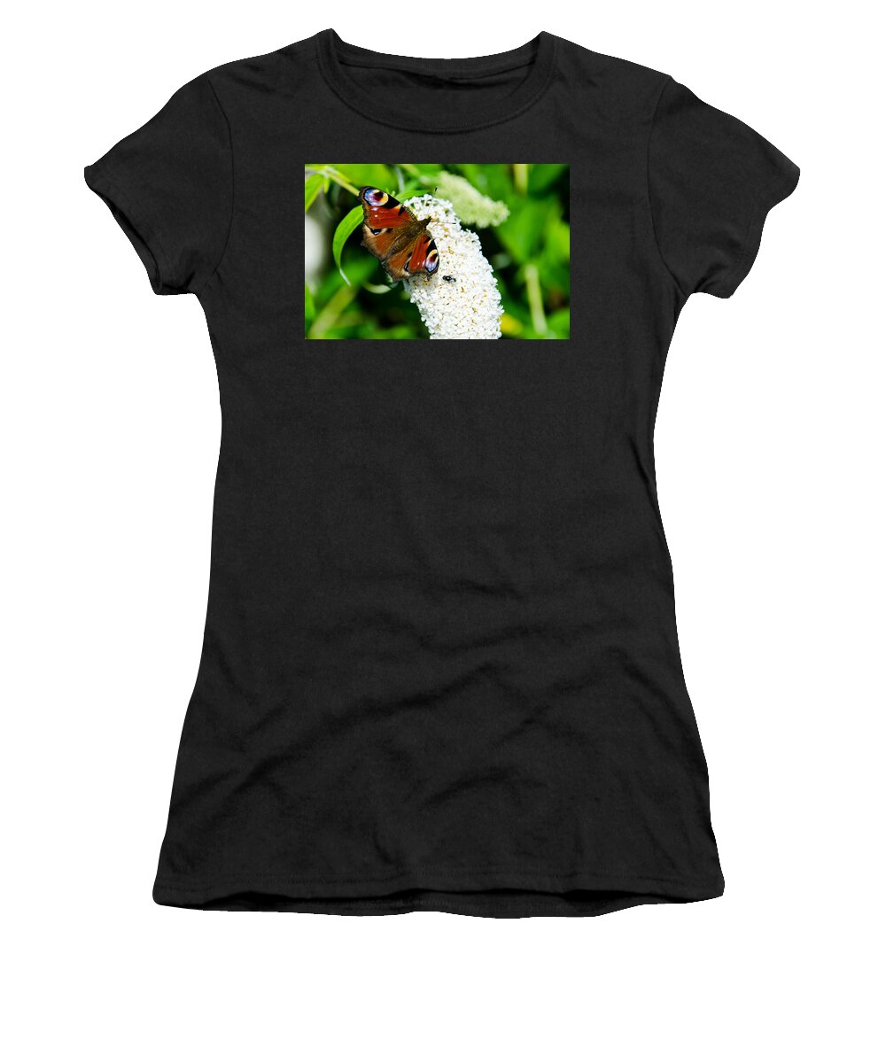  Peacock Butterfly Women's T-Shirt featuring the photograph Peacock Butterfly by Martina Fagan
