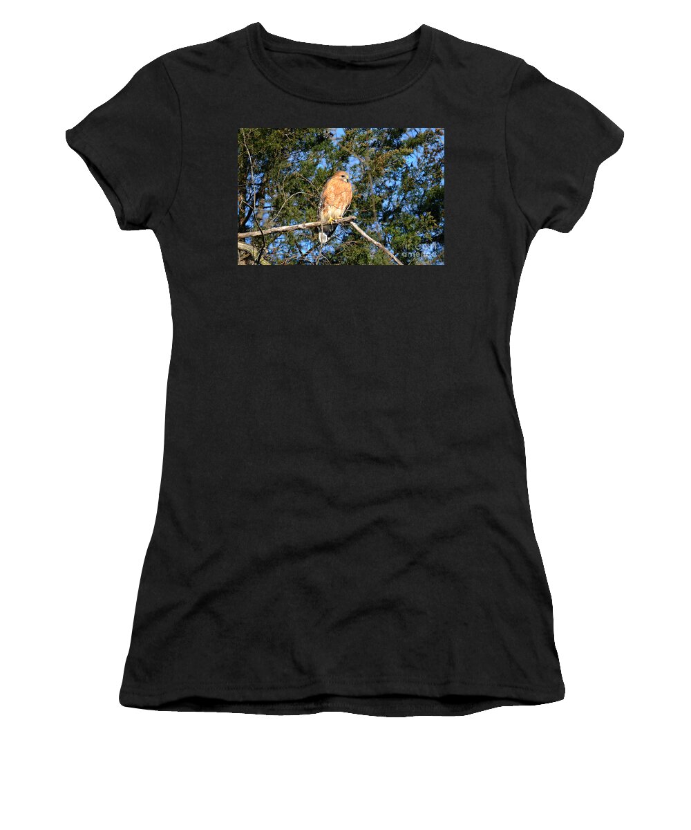 Andscape Women's T-Shirt featuring the photograph Simply Majestic by Peggy Franz