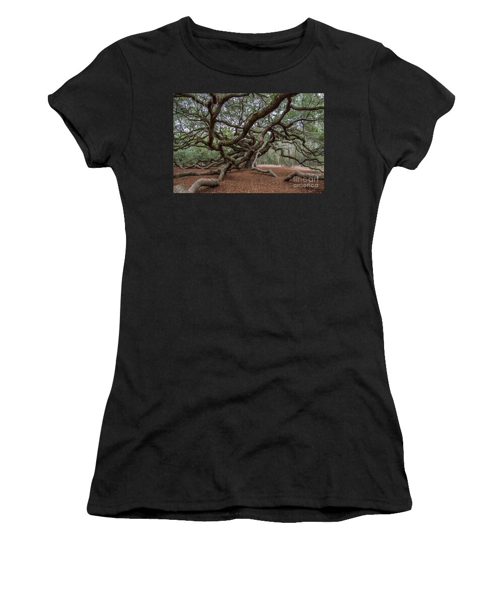 Angel Oak Tree Women's T-Shirt featuring the photograph Angel Limbs #1 by Dale Powell